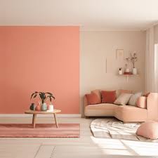 Wall Colour Combinations For Living