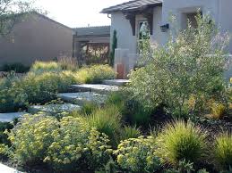 Our Favorite No Grass Front Yard Ideas