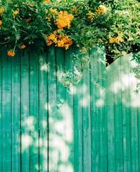50 Privacy Fence Ideas To Stylishly