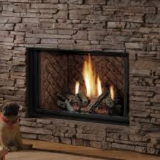 Dual Burner Direct Vent Gas Fireplace