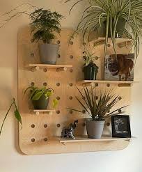 Large Hole Pegboard Organizer Plant