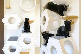 Modern Cat Climbing Wall Makes Great