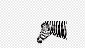 Zebra Drawing Art Art Zebra Head Shape