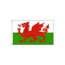 Welsh Flag 5ft X 3ft Printed Flag