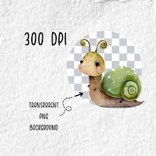 Snail Watercolor Clipart Cute Baby