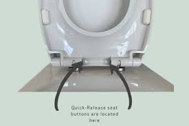 Dual Flush Toilets I Sustainable Solutions