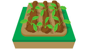 Pcsp Community Garden Town Of