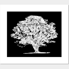 Natural Woodman Cool Oak Tree Oak