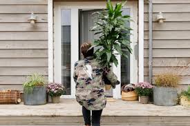 Plantsmith Beautifying Leaf Shine