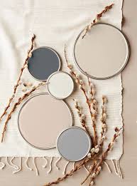 27 Neutral Paint Colors And Tips From