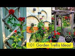 Backyard Garden Trellis Ideas