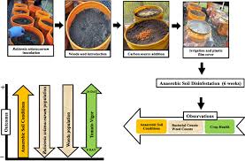 Assessment Of Agro Industrial Wastes As