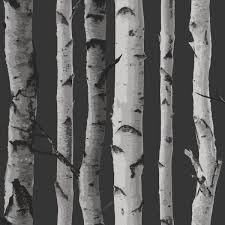 Birch Trees Wallpaper Black And