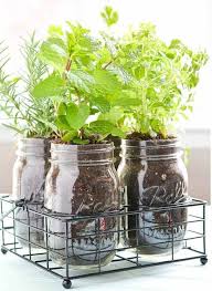 Diy Indoor Mason Jar Indoor Herb Garden