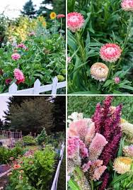 Cutting Garden