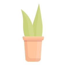 Succulent Plant Pot Icon Cartoon Vector