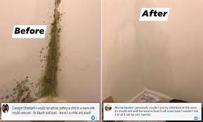 Mother Removes Black Mould From Baby S