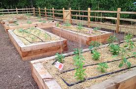 Creating A Resilient Garden 10 Key