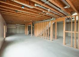 Unfinished Basement