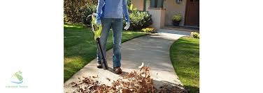 Ryobi 18v String Trimmer Edger Hedge