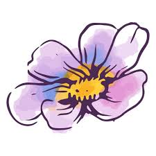 Delicate Watercolor Flower Icon Png