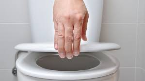 Toilet Seat Guide