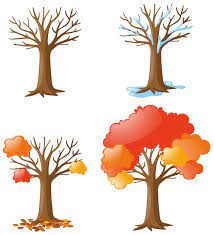 Fall Tree Images Free On Freepik
