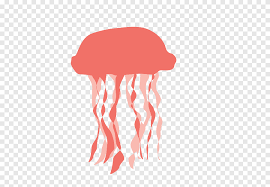 Jellyfish Computer Icons Transparency
