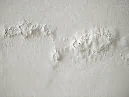 Dampness In Walls Types Causes