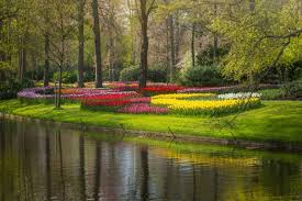 The Most Beautiful Flower Garden In The