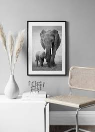 Elephant Love Poster Two Elephants
