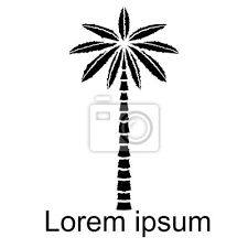 Coconut Palm Tree Icon Logo Wall