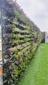 Vertical Gardening Services At Rs 75 Sq