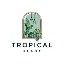 Aesthetic Tropical Plant Logo Design