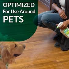 Oxy Dog Pet Stain And Odor Oxidizer