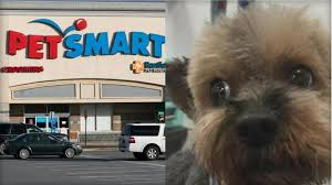 Dogs Died After Grooming At Petsmart