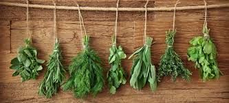 The Ultimate Herb Gardening For