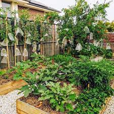 Designing Your Edible Garden The Home