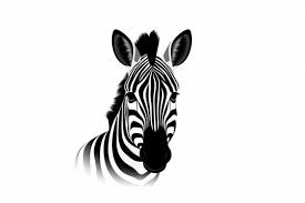 Zebra Icon Images Browse 65 238 Stock