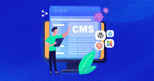 15 Best Cms Platforms In 2025