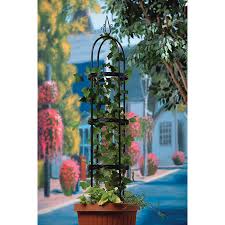 5 Foot Garden Obelisk Supports And