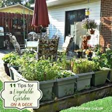 Vegetable Garden On A Deck Tips For