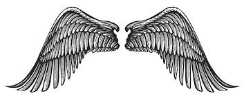 Angel Wings Ilrations Stock Angel