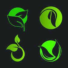Green Leaf Logo Leaf Icon
