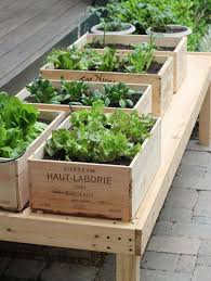 Diy Raised Beds Made From Wine Boxes