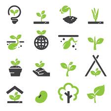 100 000 Plant Icon Vector Images