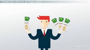 Standard Vs Actual Cost Overview