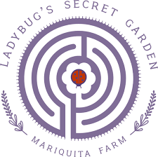 Ladybug Letters Mariquita Farm