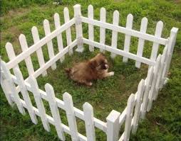 Diy Dog Fence Ideas For The Garden