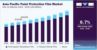 Paint Protection Market Size And